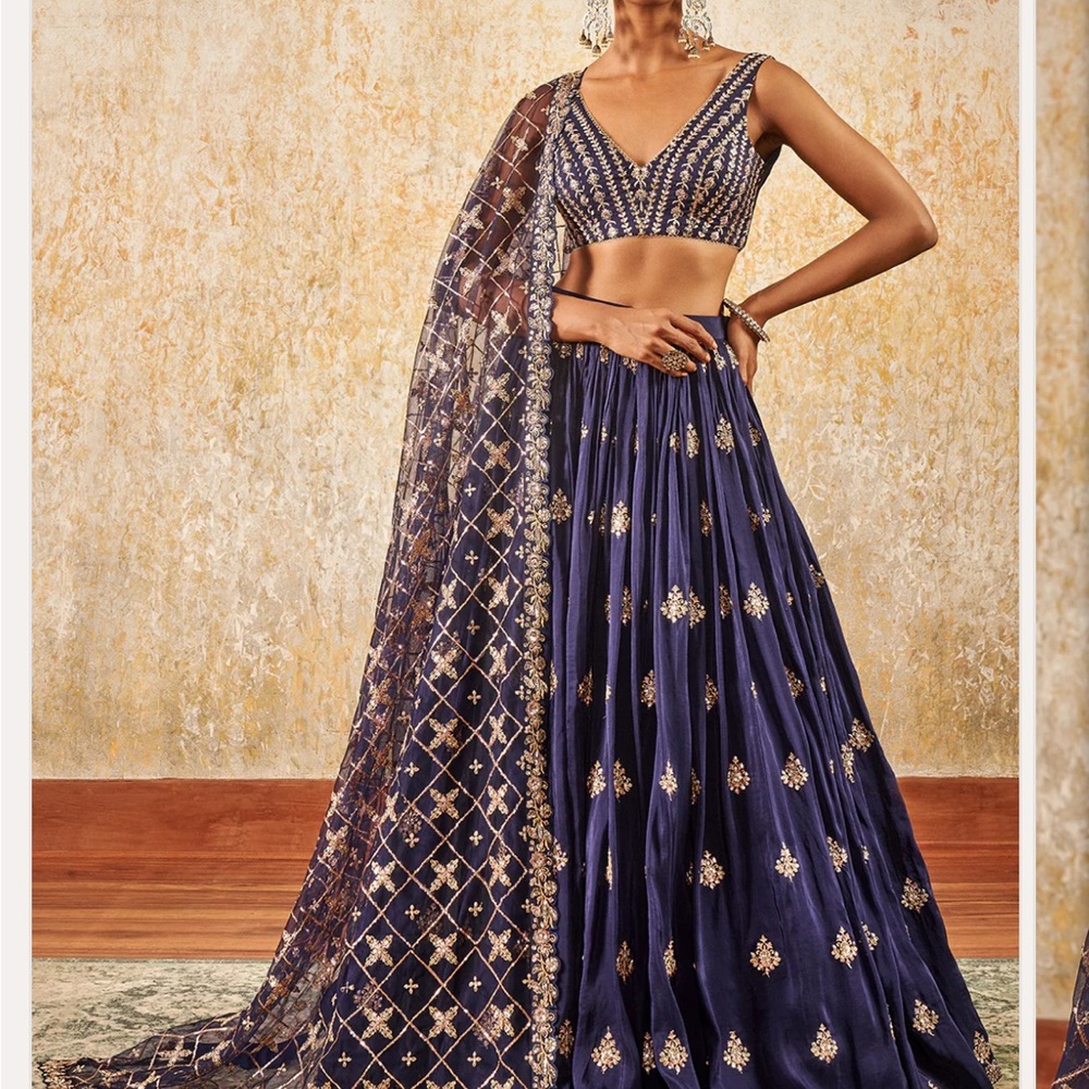 Navy Blue and Gold Embroidered Lehenga